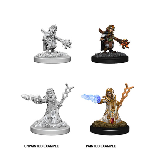 D&D Nolzur's Marvelous Miniatures - Gnome Wizard