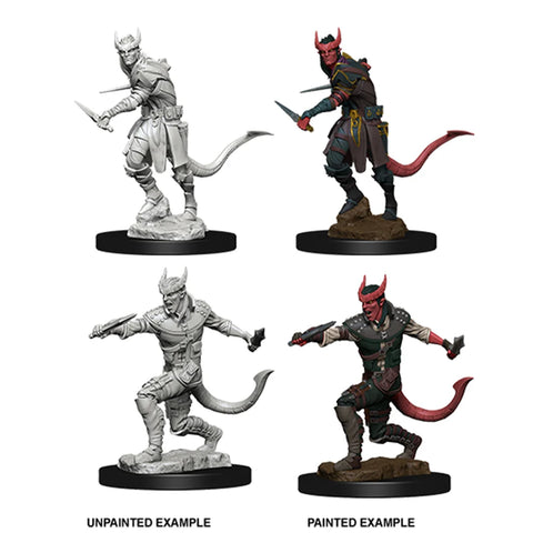 D&D Nolzur's Marvelous Miniatures - Tiefling Rogue (M)