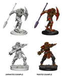 D&D Nolzur's Marvelous Miniatures - Dragonborn Fighter