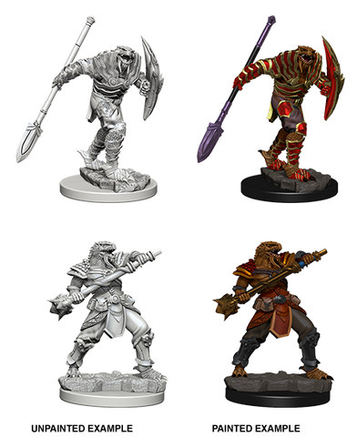 D&D Nolzur's Marvelous Miniatures - Dragonborn Fighter