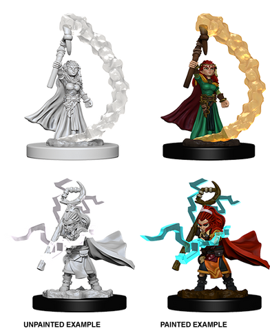 Pathfinder Deep Cuts - Gnome Female Sorcerer
