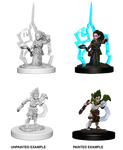 Pathfinder - Gnome Female Druid