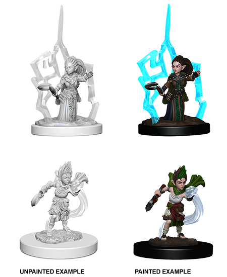Pathfinder - Gnome Female Druid