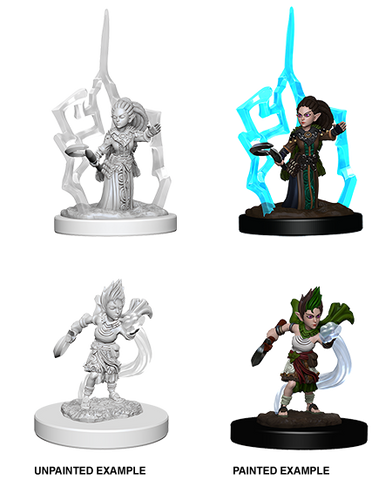 Pathfinder - Gnome Female Druid