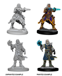 Pathfinder Deep Cuts - Male Human Wizard