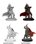 Pathfinder Deep Cuts - Female Knights/Gray Maidens