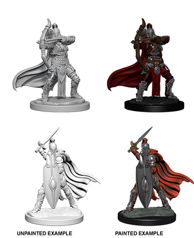 Pathfinder Deep Cuts - Female Knights/Gray Maidens