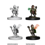 Pathfinder Deep Cuts - Gnome Male Druid