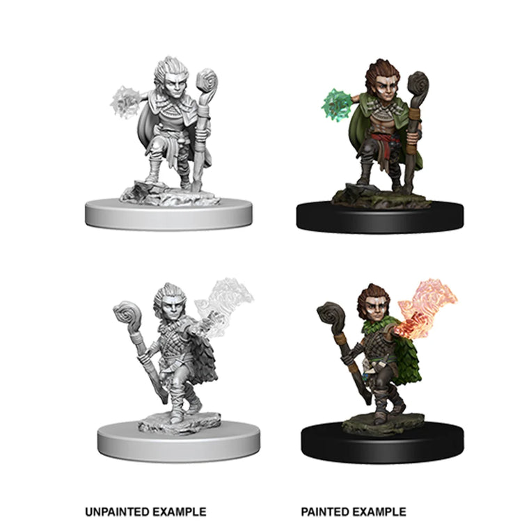 Pathfinder Deep Cuts - Gnome Male Druid