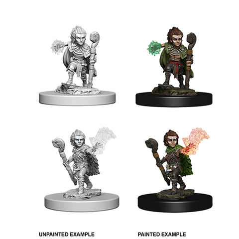 Pathfinder Deep Cuts - Gnome Male Druid