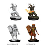D&D Nolzur's Marvelous Miniatures - Human Druid