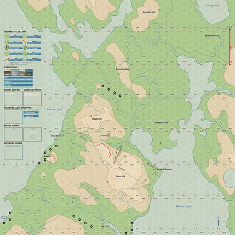 Goose Green (bagged) - The Tabletop Strategist