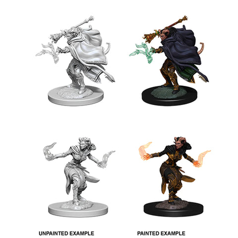D&D Nolzur's Marvelous Miniatures - Tiefling Warlock