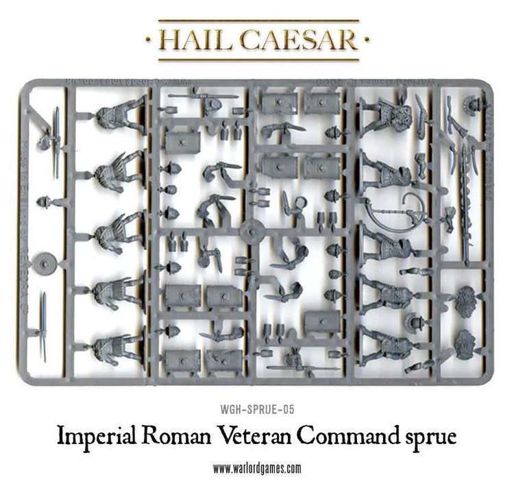 Hail Caesar: Early Imperial Romans: Veterans